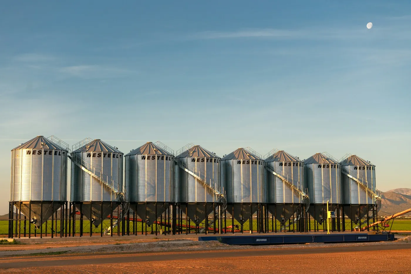 Fila de silos metálicos de grano con tolva, al atardecer.